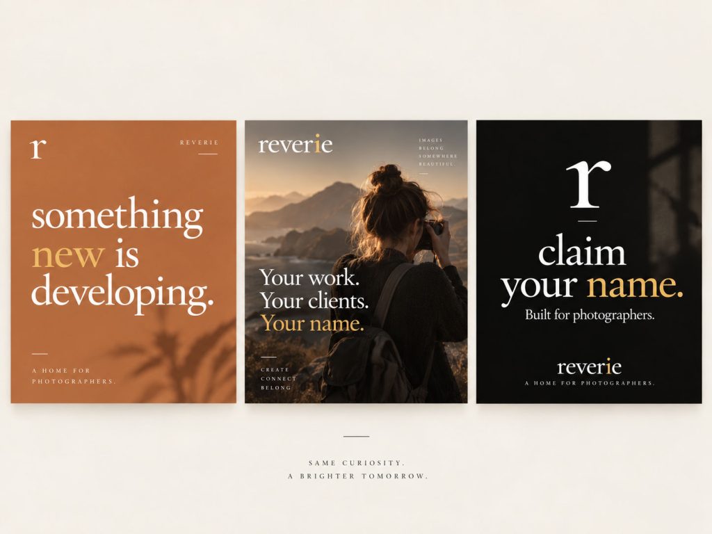 Jose Medina - Reverie Branding Project